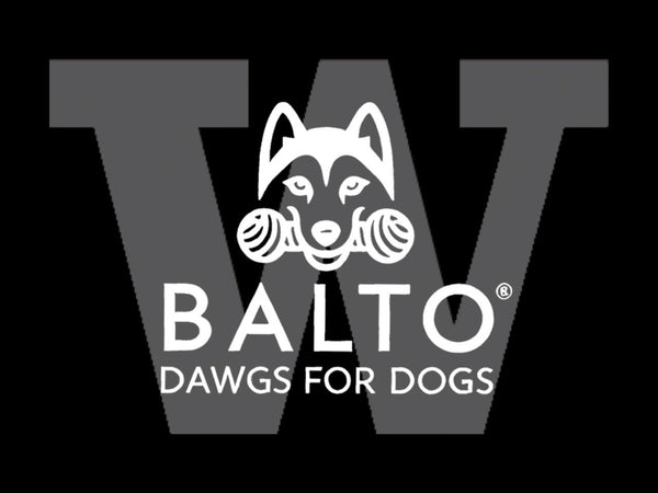 Balto Dog Toys